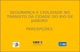SEGURANÇA E CIVILIDADE NO TRÂNSITO DA CIDADE DO RIO DE JANEIRO PERCEPÇÕES.