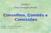 FETAESC Curso Formação Sindical Conselhos, Comitês e Comissões Eng° Agr° - Vilmar Comassetto – Epagri Florianópolis, 19 setembro de 2007.