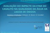 Madalena S.Malhadas 1, S.Nunes 2, R. Neves 3 ; S. Carvalho 4 webpage do projecto:  1, 2, 3 - Maretec-Instituto.