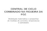 CENTRAL DE CICLO COMBINADO NA FIGUEIRA DA FOZ Modelação matemática e campanhas de medidas de correntes, temperaturas e salinidades.
