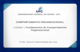 UNIVERSIDADE FEDERAL DO CEARÁ - UFC COMPORTAMENTO ORGANIZACIONAL Unidade I: Fundamentos do Comportamento Organizacional Profa: Tereza Cristina Batista.