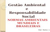 Prof. Marlon A Santos Prof. Marlon A Santos Gestão Ambiental e Responsabilidade Social NORMAS AMBIENTAIS MUNDIAIS E BRASILEIRAS 1.