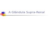 A Glândula Supra-Renal. Glândula Supra-renal(GSR) É um orgão de tonalidade amarela, situado antero–superiormente na extremidade superior de cada rim;