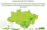 Caracterização do Problema: Zoneamento de Risco de Ocorrência da Síndrome da Morte de Pastagens de Brachiaria brizantha na Amazônia Legal Brasileira Source: