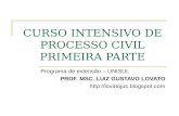 CURSO INTENSIVO DE PROCESSO CIVIL PRIMEIRA PARTE Programa de extensão – UNISUL PROF. MSC. LUIZ GUSTAVO LOVATO .