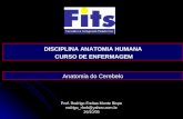 Prof. Rodrigo Freitas Monte Bispo rodrigo_rfmb@yahoo.com.br26/10/09 DISCIPLINA ANATOMIA HUMANA CURSO DE ENFERMAGEM CURSO DE ENFERMAGEM Anatomia do Cerebelo.