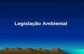 Legislação Ambiental. CÓDIGO SANITÁRIO Século XIX 1 a LEGISLAÇÃO AMBIENTAL BRASILEIRA: Lei Estadual 118 de 29/06/73 : CRIAÇÃO DA CETESB Se preocupava.