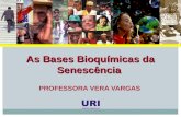 PROFESSORA VERA VARGAS As Bases Bioquímicas da Senescência.