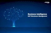 Business Intelligence SAP Disclosure Management. 2 Agenda SAP Disclosure Management Geração de Relatórios Armazenamento de Informações Padronização dos.