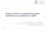 Www.ourofino.com 1 Pontos críticos e alternativas para melhorar os resultados na IATF M.V. Alessandra A. Teixeira Especialista em Reprodução Animal Ourofino.