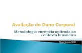 Metodologia européia aplicada ao contexto brasileiro Thays Rettore/2010.
