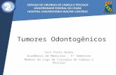 Tumores Odontogênicos Yuri Pinto Nunes Acadêmico de Medicina – 5º Semestre Membro da Liga de Cirurgia de Cabeça e Pescoço.