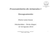 Procesamiento de minerales I Desaguamento Maria Luiza Souza Montevideo – Porto Alegre 12-16 Agosto 2013 1 UNIVERSIDADE DE LA REPUBLICA – URUGUAY UFRGS.