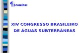 XIV CONGRESSO BRASILEIRO DE ÁGUAS SUBTERRÂNEAS. Custos e Formação do Preço de Venda em Perfuração de Poços.