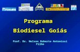 Programa Biodiesel Goiás Prof. Dr. Nelson Roberto Antoniosi Filho.