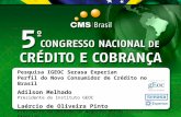 Pesquisa IGEOC Serasa Experian Perfil do Novo Consumidor de Crédito no Brasil Adilson Melhado Presidente do Instituto GEOC Laércio de Oliveira Pinto Presidente.