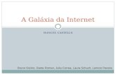 MANUEL CASTELLS A Galáxia da Internet Bruno Osório, Dante Roman, Julia Correa, Laura Schuch, Lennon Pereira.