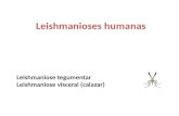 Leishmanioses humanas Leishmaniose tegumentar Leishmaniose visceral (calazar)