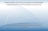 MINISTÉRIO DAS RELAÇÕES EXTERIORES Departamento de Promoção Comercial Ricardo Leal Divisão de Programas de Promoção Comercial Abril/2009.