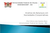 Prof. Brício dos Santos Reis Universidade Federal de Viçosa - MG Universidade Federal de Viçosa OCB/SESCOOP - GO.