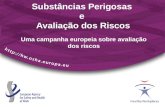 Substâncias Perigosas e Avaliação dos Riscos Uma campanha europeia sobre avaliação dos riscos.