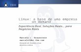 Linux: a base de uma empresa on demand Experiência Real, Soluções Reais... para Negócios Reais Marcelo L. Braunstein marcelol@br.ibm.com Gerente de Vendas.