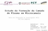 Estudo da Formação da Camada de Plasma em Microcanais Bolsa de Integração na Investigação (BII) CEFT/BII/2009/01 Porto, Dezembro 2010 Realizado por: Cátia.