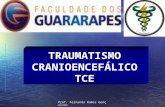 Prof. Fernando Ramos Gonçalves TRAUMATISMO CRANIOENCEFÁLICO TCE.