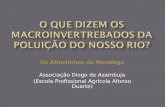 Os Afonsinhos do Mondego Associação Diogo de Azambuja (Escola Profissional Agrícola Afonso Duarte)