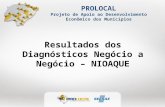 PROLOCAL Projeto de Apoio ao Desenvolvimento Econômico dos Municípios Resultados dos Diagnósticos Negócio a Negócio – NIOAQUE.