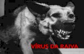 VÍRUS DA RAIVA. ORIGEM O vírus da raiva é um vírus do gênero Lyssavirus e que é o causador da raiva. Tais vírus teriam chegado à África Central e Ocidental.