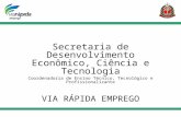 Secretaria de Desenvolvimento Econômico, Ciência e Tecnologia Coordenadoria de Ensino Técnico, Tecnológico e Profissionalizante VIA RÁPIDA EMPREGO.