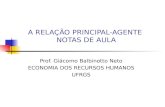 A RELAÇÃO PRINCIPAL-AGENTE NOTAS DE AULA Prof. Giácomo Balbinotto Neto ECONOMIA DOS RECURSOS HUMANOS UFRGS.