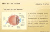 Estrutura do Olho Humano: O cristalino funciona como uma lente convergente que, aumentando ou diminuindo sua espessura (acomodação visual), tenta projetar.