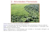 2. Atividades Florestais Flora (diminui a biodiversidade vegetal) Fauna (retirada de plantas frutíferas, que alimentam a fauna nativa) Solo (compactação.