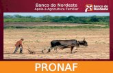 Banco do Nordeste Apoio à Agricultura Familiar. OBJETIVO Fortalecer a agricultura familiar, mediante o financiamento da infra-estrutura de produção e.
