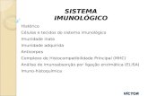SISTEMA IMUNOLÓGICO VÍCTOR PESSOA Histórico Células e tecidos do sistema imunológico Imunidade inata Imunidade adquirida Anticorpos Complexo de Histocompatibilidade.