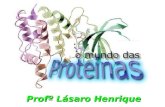 Profº Lásaro Henrique. Proteínas são macromoléculas complexas, compostas de aminoácidos. São os constituintes básicos da vida e necessárias para os processos.