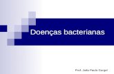 Doenças bacterianas Prof. João Paulo Gurgel. Meningite - Neisseria meningitidis, Haemeophilus influenziae - mortalidade de 85% sem tratamento - Contágio.