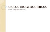 CICLOS BIOGEOQUÍMICOS Prof. Regis Romero. Ciclos biogeoquímicos Ciclo em escala global, de elementos ou substâncias químicas que necessariamente contam.