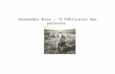 Guimarães Rosa – O Feiticeiro das palavras. I – O Autor Permanência realista do testemunho humano Universalização do Regionalismo Mundo de fantasia e.