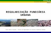 Ministério das Cidades Secretaria Nacional de Programas Urbanos Celso Santos Carvalho – Diretor do Departamento de Assuntos Fundiários Urbanos REGULARIZAÇÃO.