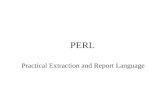 PERL Practical Extraction and Report Language. Um Pouco Sobre Perl Perl é uma linguagem poderosa e adaptável a diversas situações. Sua primeira versão.
