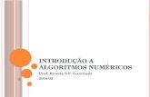 I NTRODUÇÃO A A LGORITMOS N UMÉRICOS Prof. Renata S.S. Guizzardi 2010/02.