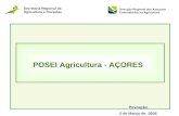 POSEI Agricultura - AÇORES Povoação 2 de Março de 2008 Secretaria Regional da Agricultura e Florestas Direcção Regional dos Assuntos Comunitários da Agricultura.