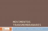 MOVIMENTOS TRANSMEMBRANARES Prof. Ana Rita Rainho – Biologia e Geologia 10.