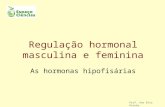Regulação hormonal masculina e feminina As hormonas hipofisárias Prof. Ana Rita Rainho.