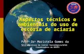 Prof a Dr a Maristela Gomes da Silva Diretora do Centro Tecnológico/UFES Coordenadora do NEXES Aspectos técnicos e ambientais do uso de escória de aciaria.