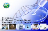 Biologia Professor Thomaz Nagel Capítulo 05 : A célula (Membrana Plasmática)