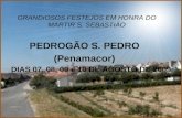 GRANDIOSOS FESTEJOS EM HONRA DO MARTIR S. SEBASTIÃO PEDROGÃO S. PEDRO (Penamacor) DIAS 07, 08, 09 e 10 DE AGOSTO DE 2009.
